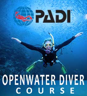 Padi Open Water Diver Manual 2015